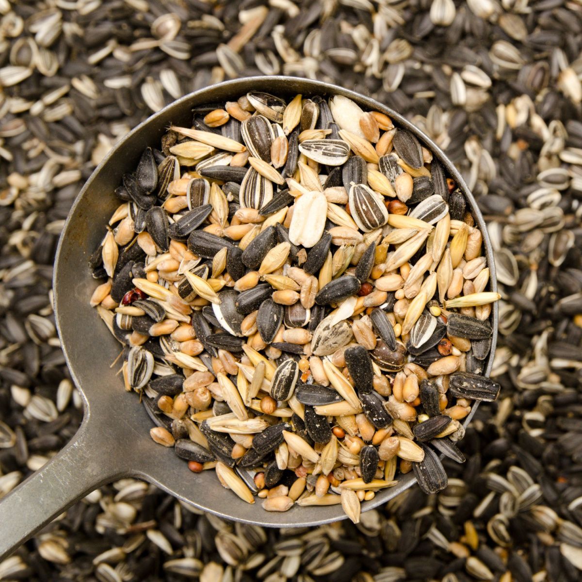 Calcium Grey Pellets